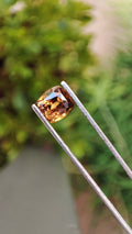 Saphir Naturelle Brown/Caramel (1.68 ct)