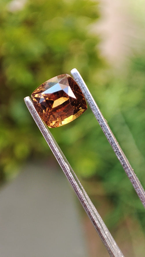 Saphir Naturelle Brown/Caramel (1.68 ct)
