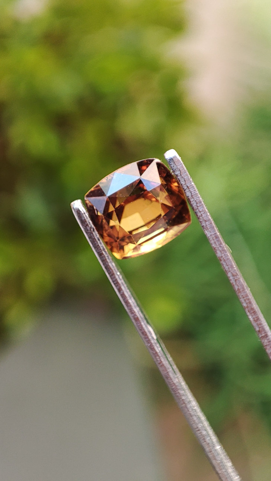 Saphir Brun/Caramel