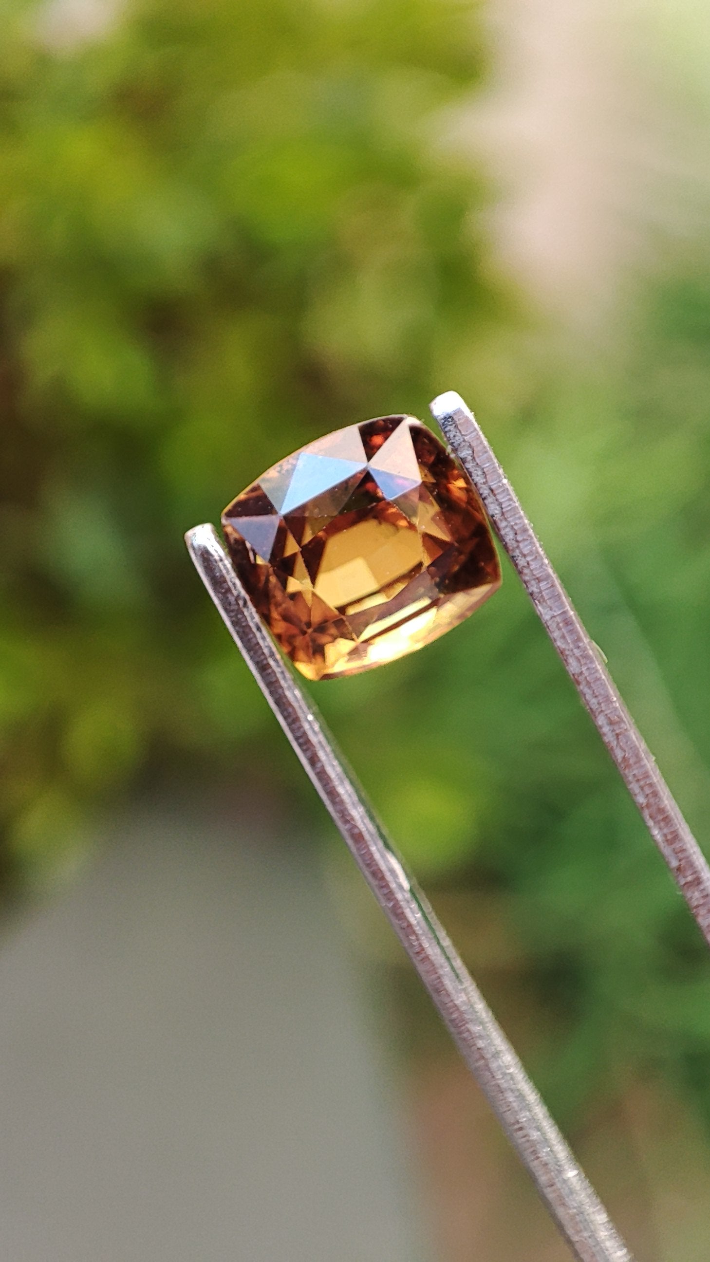 Saphir Brun/Caramel
