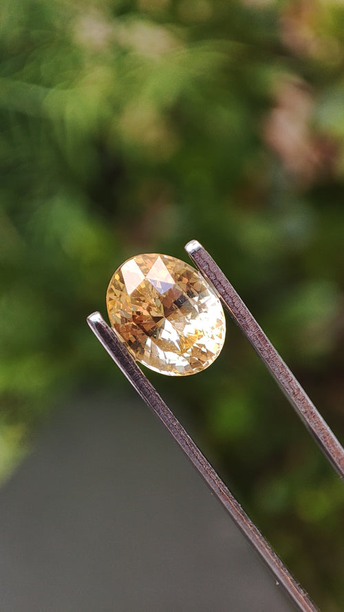 Saphir Naturelle Jaune (1.20 ct)