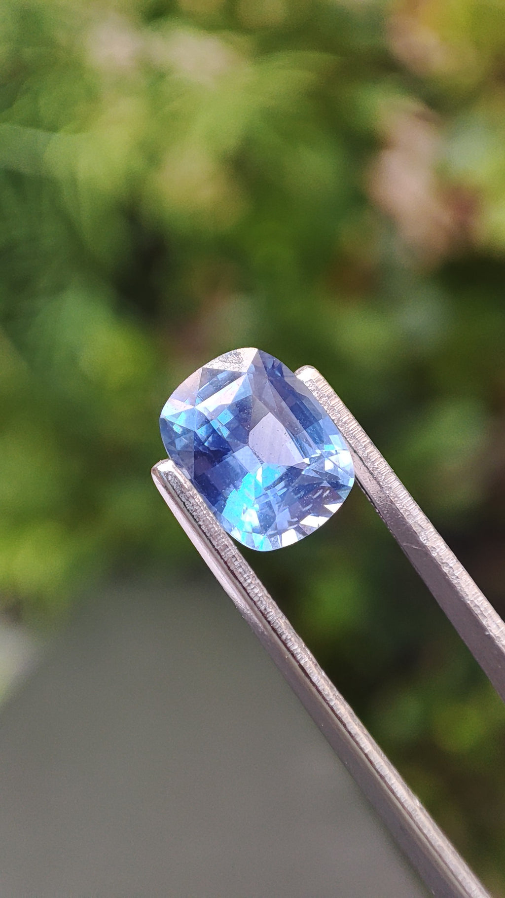 Saphir Cornflower bleu