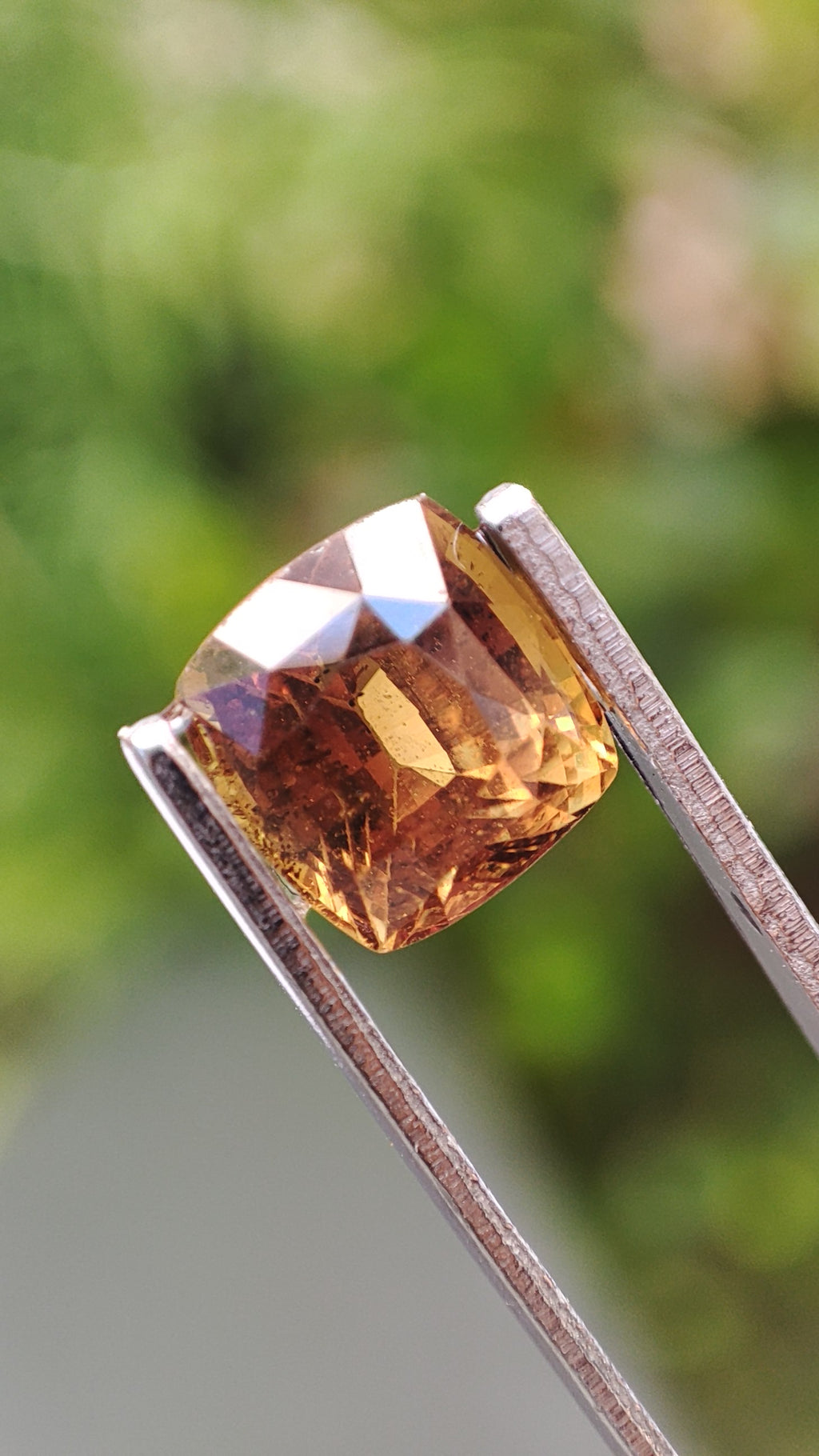 Saphir Brun/Caramel