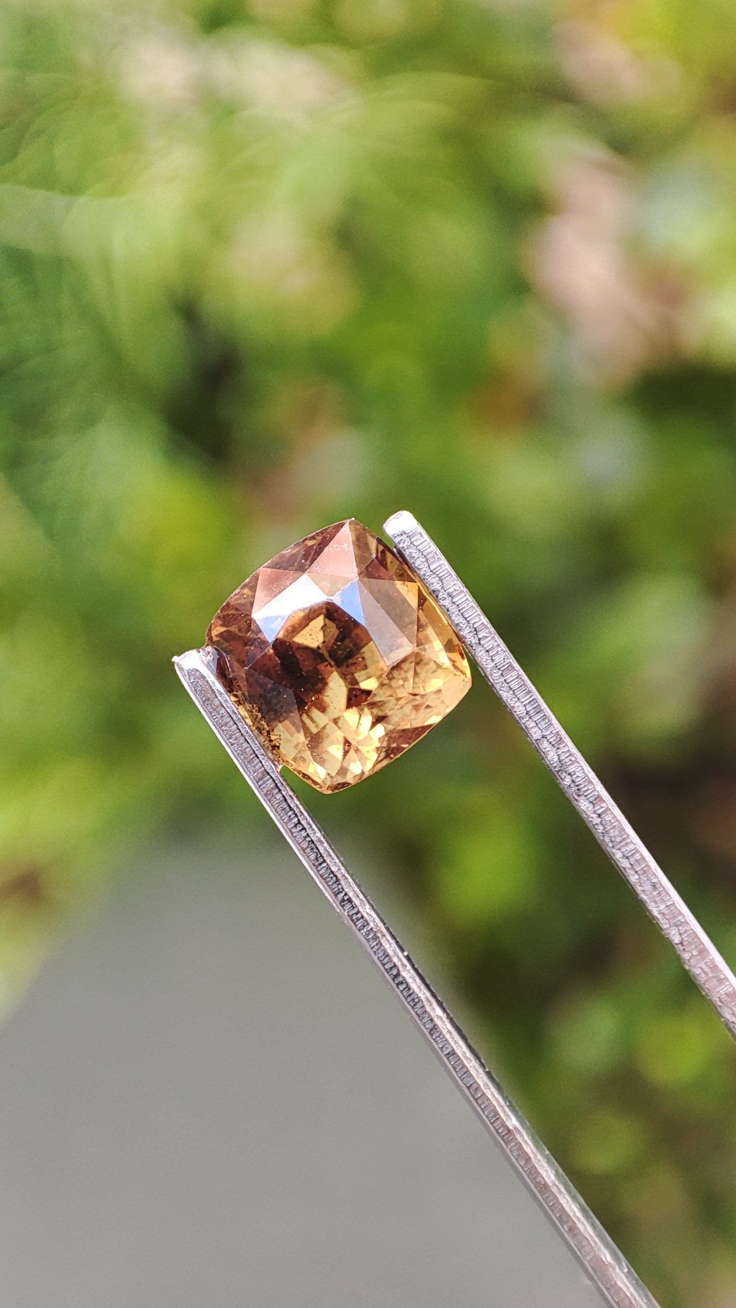 Saphir Naturelle Brown/Caramel (1.68 ct)
