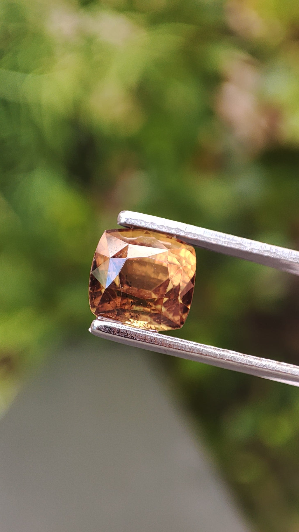 Saphir Brun/Caramel