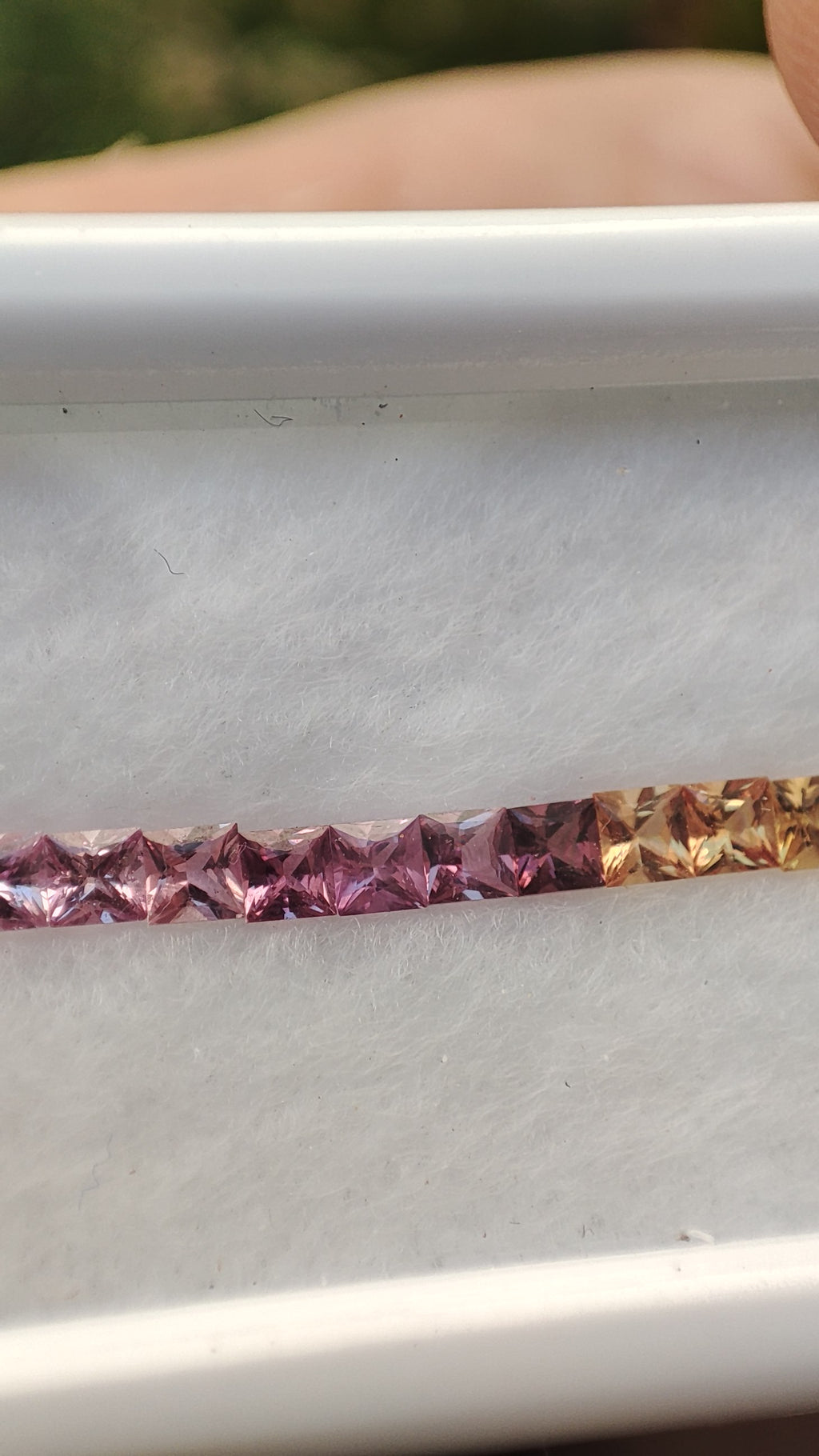 Lot Saphir Rainbow